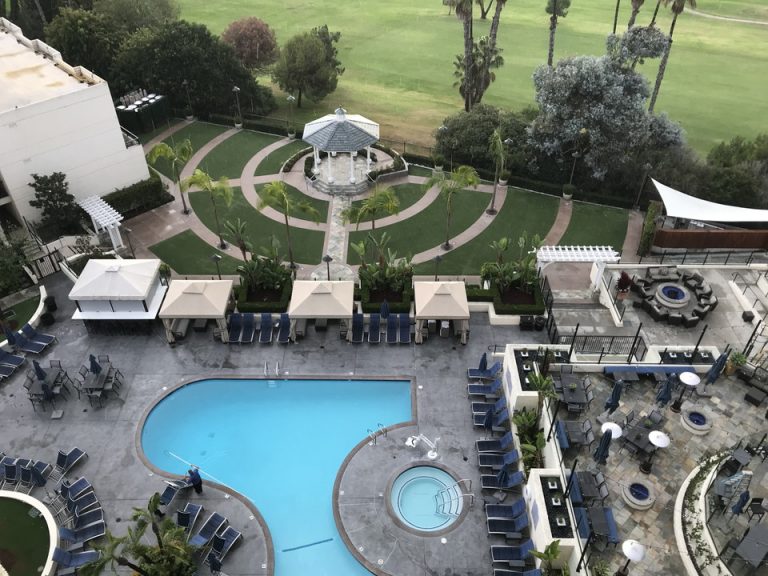 タイミング良ければウエェディングも見れる