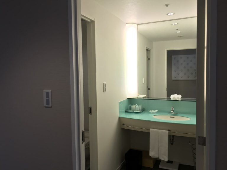 バスルームは左手にトイレ正面に洗面台右手に大きなシャワールームとなっていました