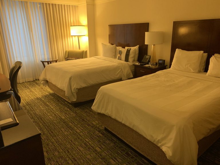 入口から見た客室内