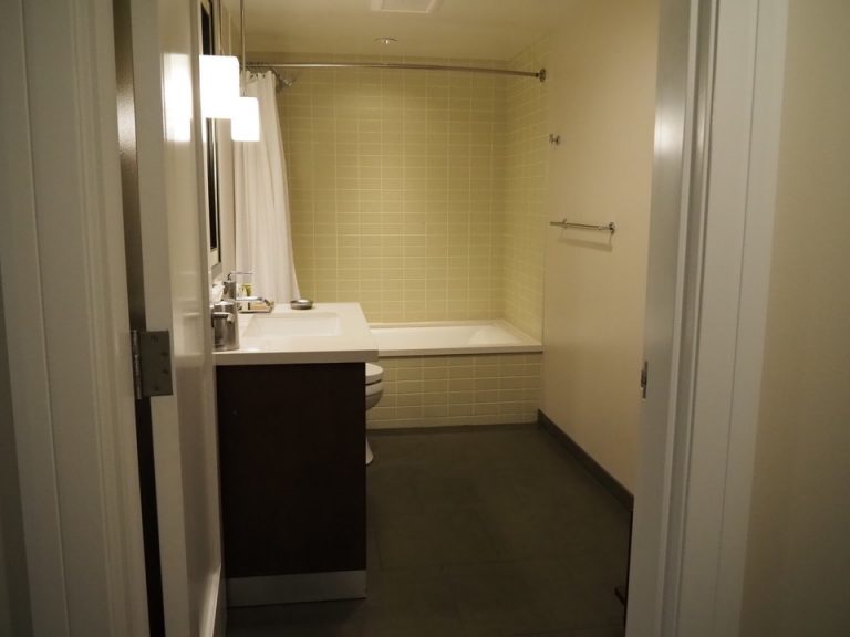 バスルーム入口から全景