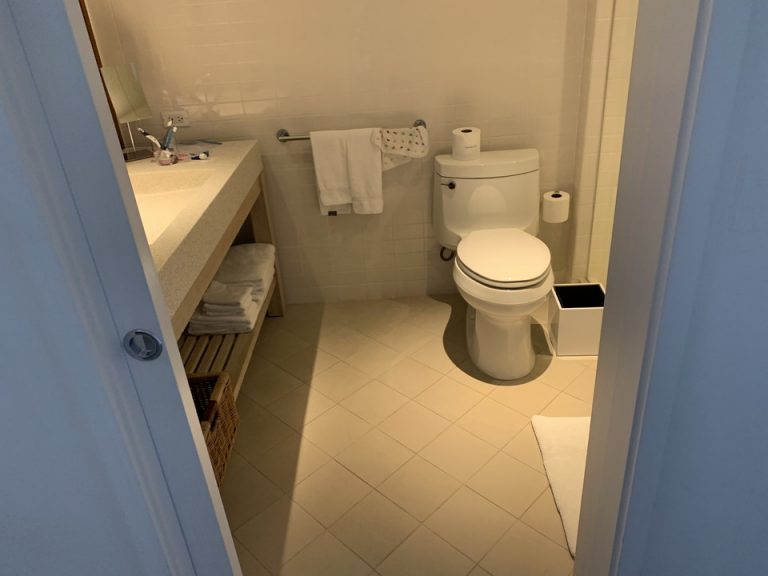 バスルーム入口から全景