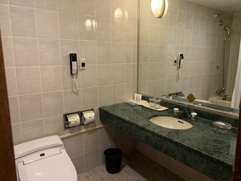 バスルーム入口から全景