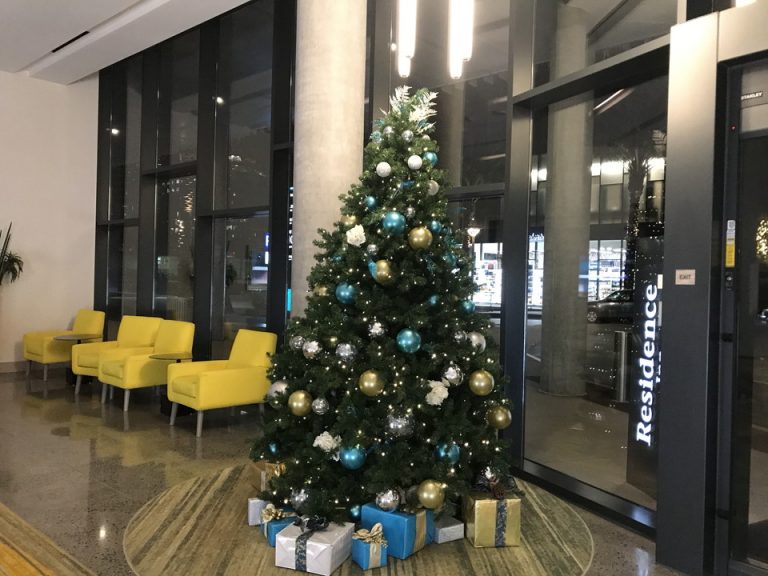 館内すぐにはクリスマスツリーがありました