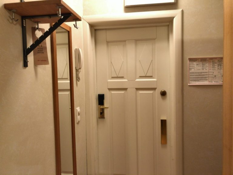 客室入口内観ドア(1)