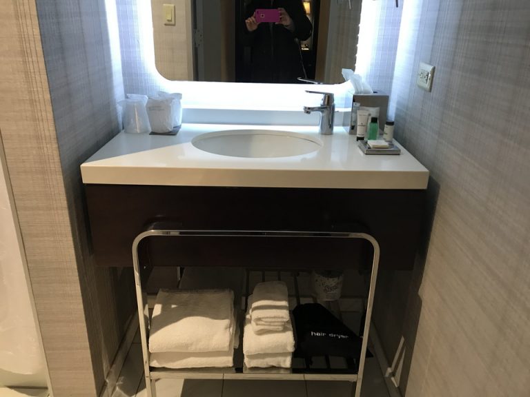 客室はすごく広かったのですがすっきりまとまった洗面台これはこれでアリと思いました