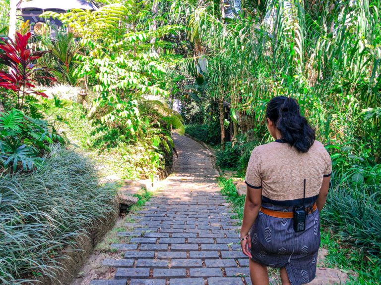 エントランス内観