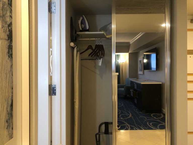 クローゼット 開けた状態(1)