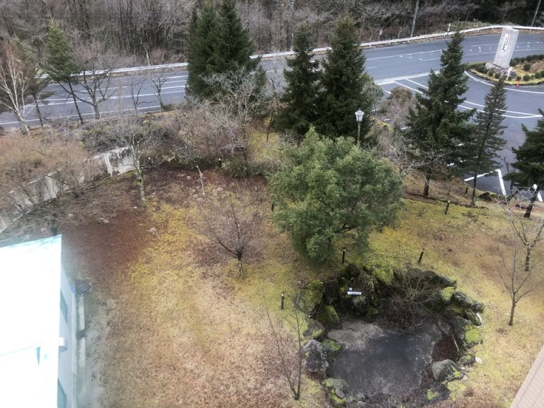 部屋からの景色(2)