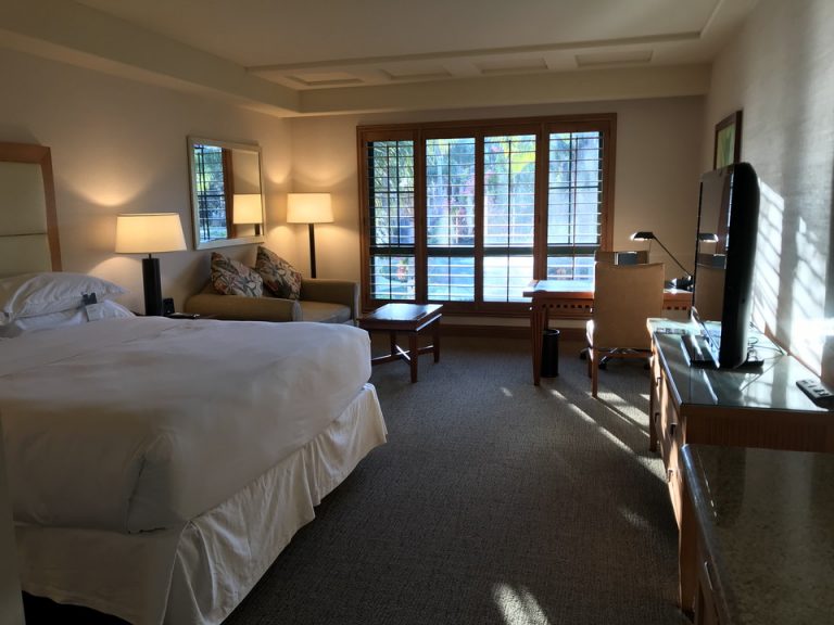 部屋全体 写真だけ見るとバリかどこかのリゾートホテルのような雰囲気