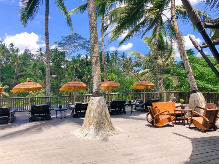 バーでのデイベッドスペース