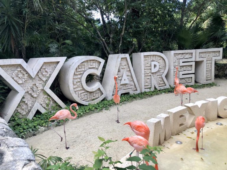 シカレ海洋公園