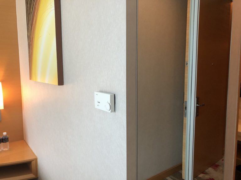 クローゼットドア(右側)前面鏡