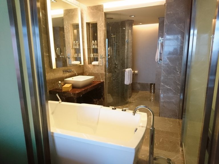 バスルーム入口からの全景