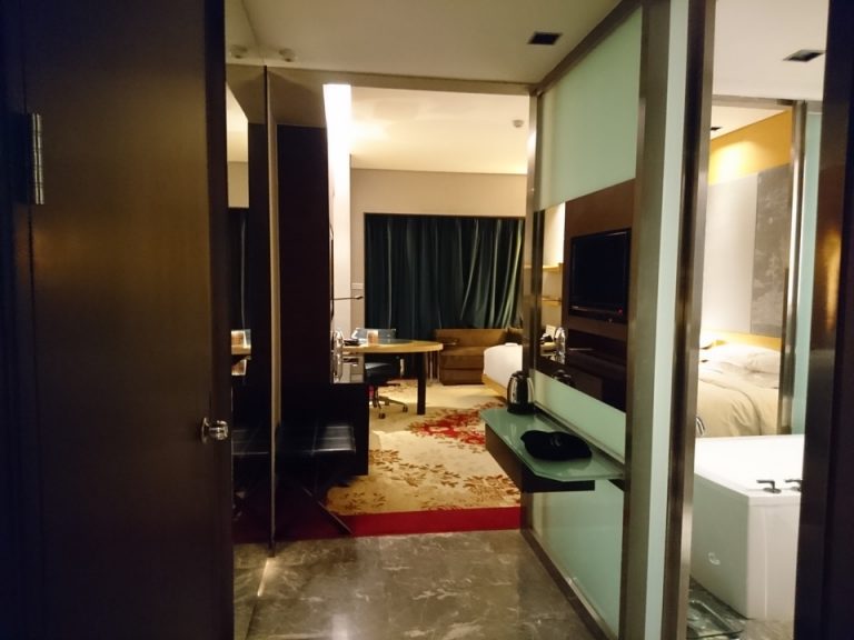 客室全体(窓際方向)