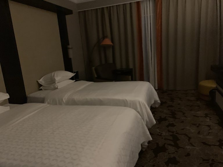 客室全体(窓際方向)