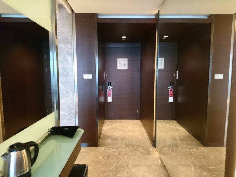 客室入口内観ドア