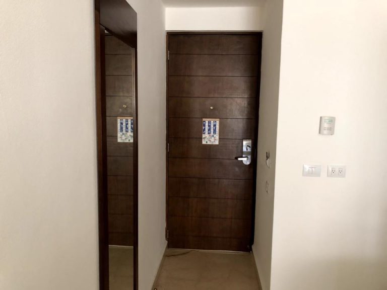 客室入口内観ドア