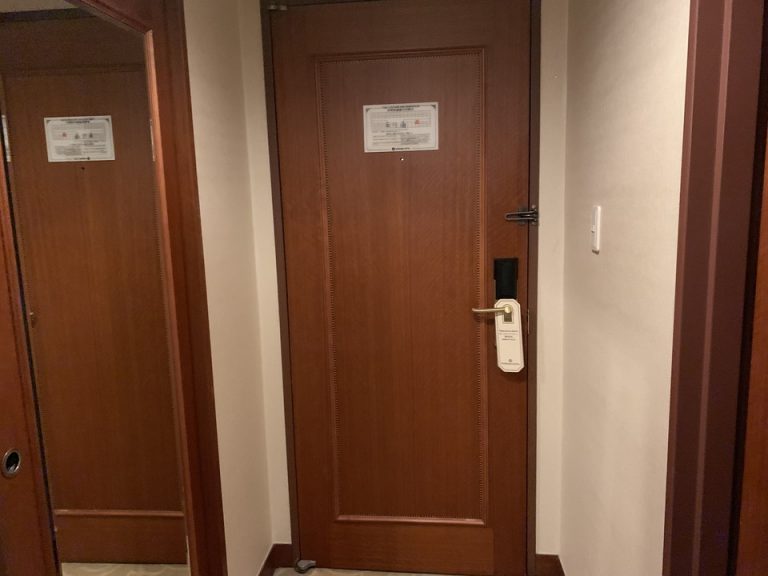 客室入口内観ドア