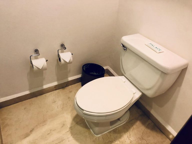 トイレはバスルームと分かれていません。