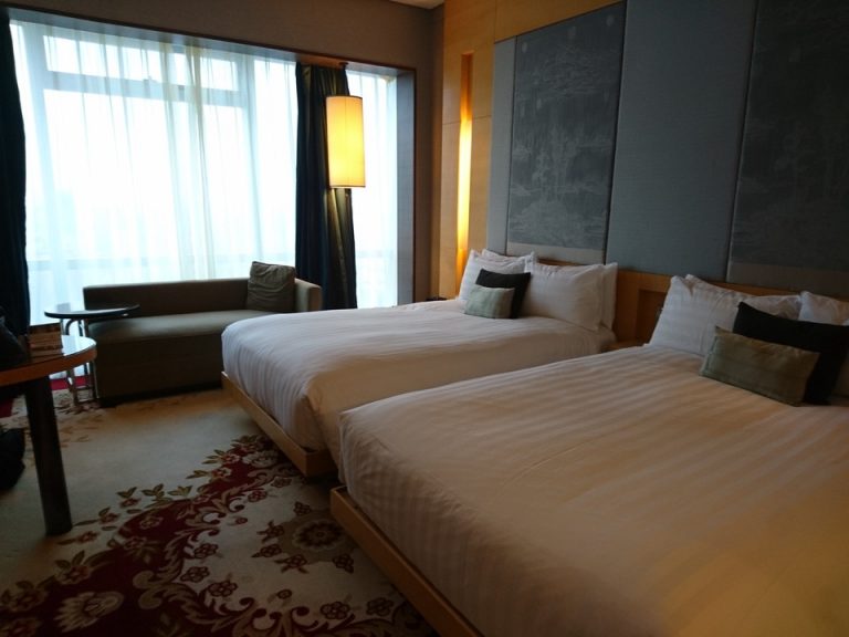 客室全体(窓方向)