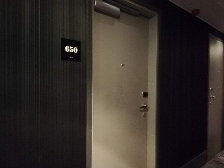 客室入口付近廊下