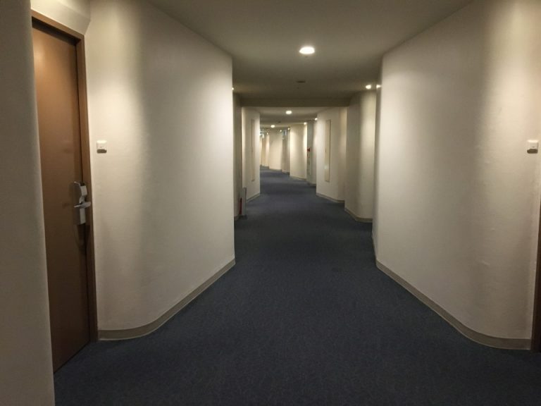 客室入口付近廊下