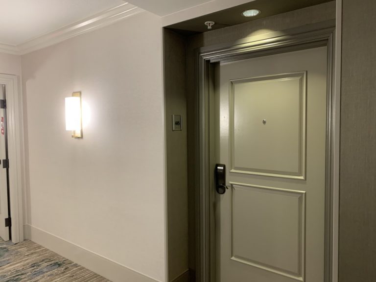 客室入口付近廊下