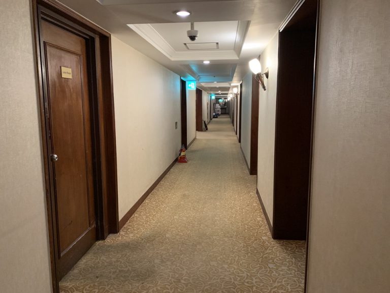 客室入口付近廊下