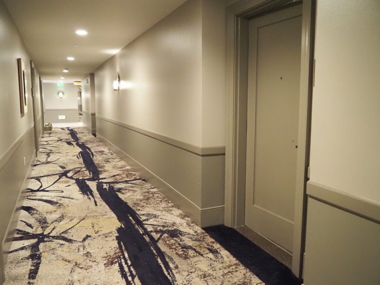 客室入口付近廊下