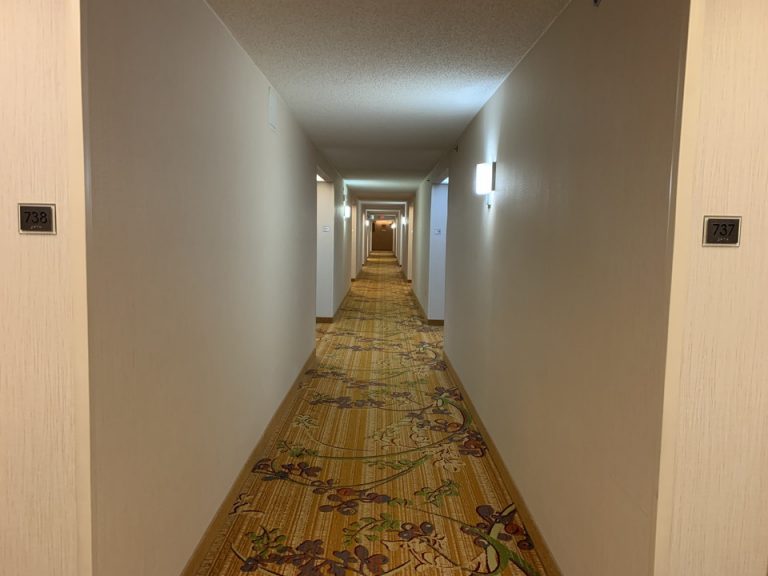 客室入口付近廊下