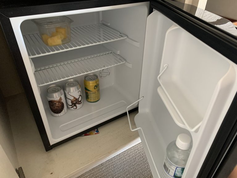 冷蔵庫(開けた状態)