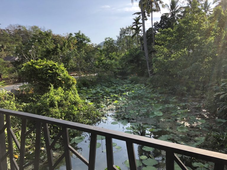 レストランからの眺め