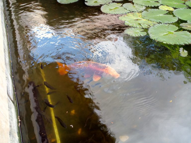 IMG_20200120_091826_8