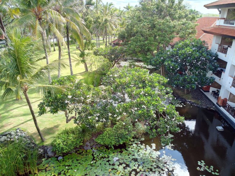 IMG_20200120_093116_6