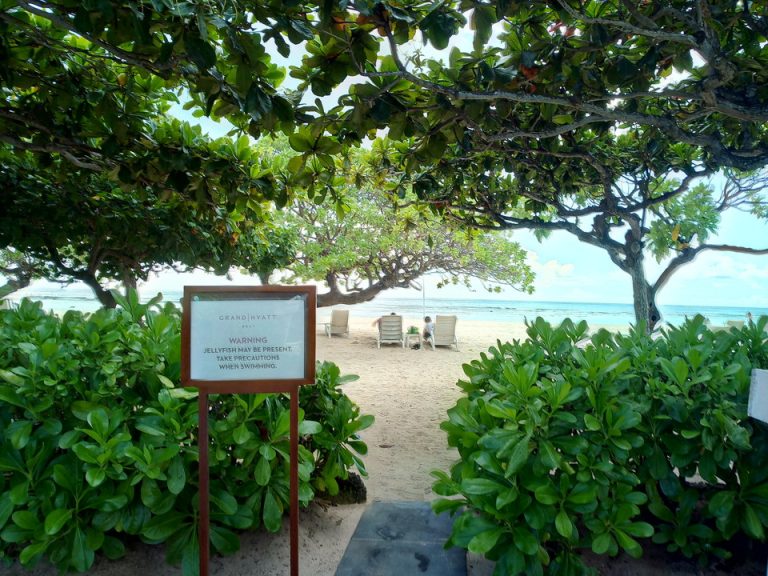 IMG_20200120_100632_0