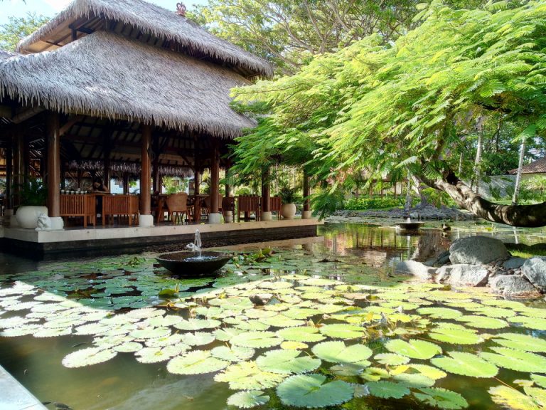 IMG_20200120_160220_8