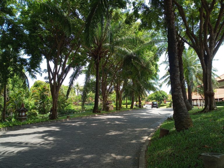 IMG_20200121_121407_2