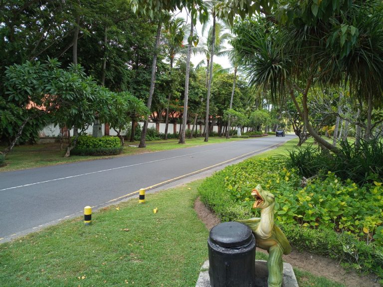 IMG_20200121_121626_8