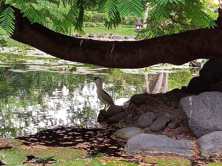 IMG_20200121_135923_1