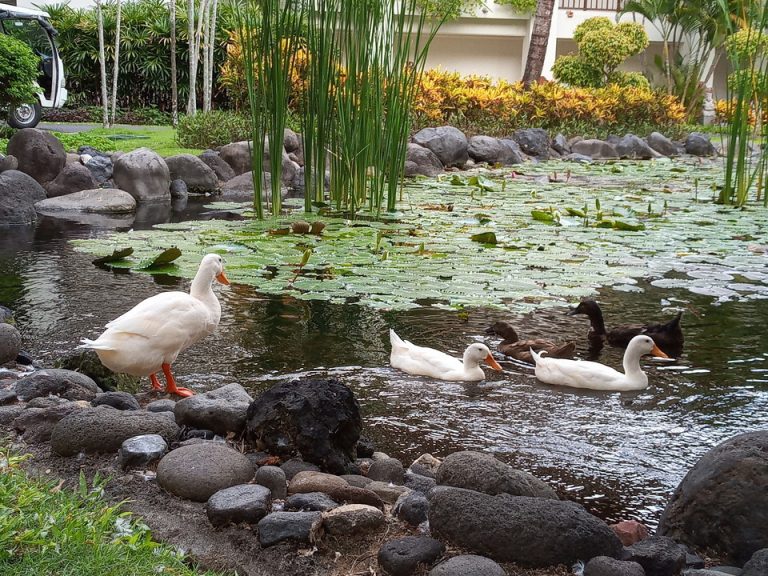 IMG_20200121_143202_0