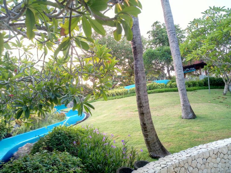 IMG_20200122_063533_6