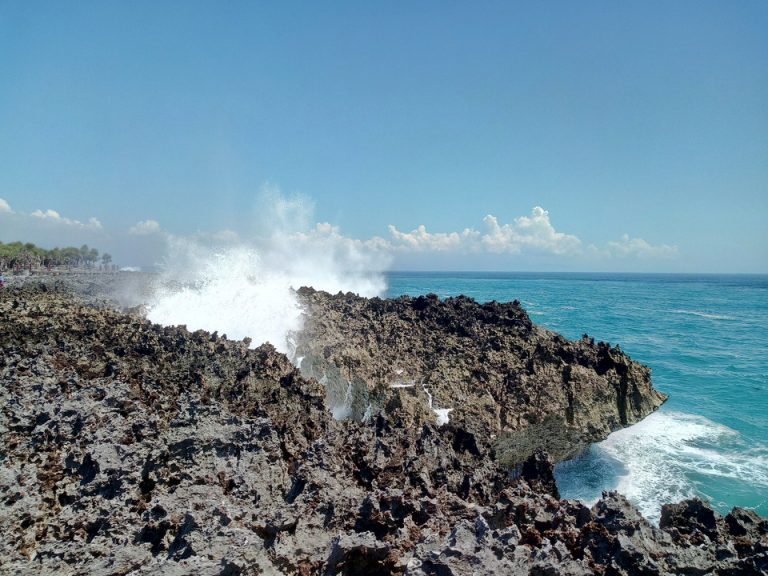 IMG_20200125_105624_9