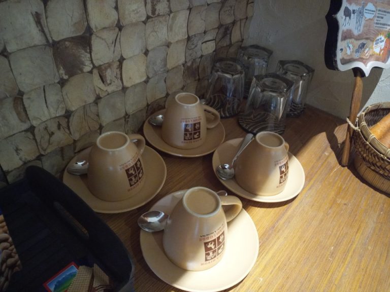 IMG_20200127_150650_9