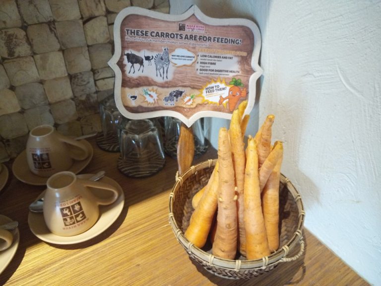 IMG_20200127_150657_2