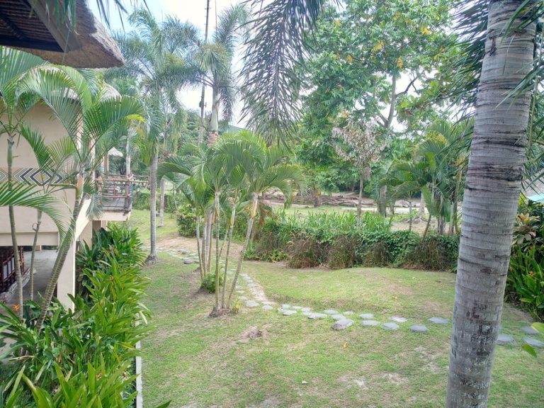 IMG_20200127_152731_6