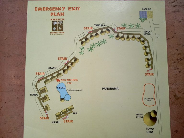 IMG_20200127_153101_7