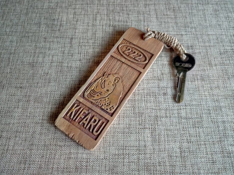 IMG_20200127_155520_3