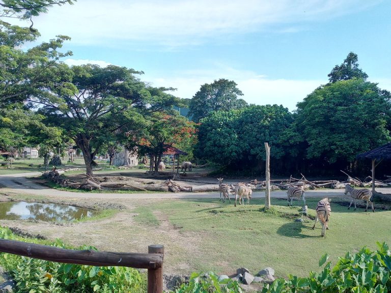 IMG_20200127_161514_6