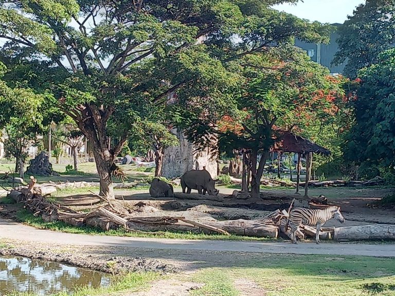 IMG_20200127_164331_7