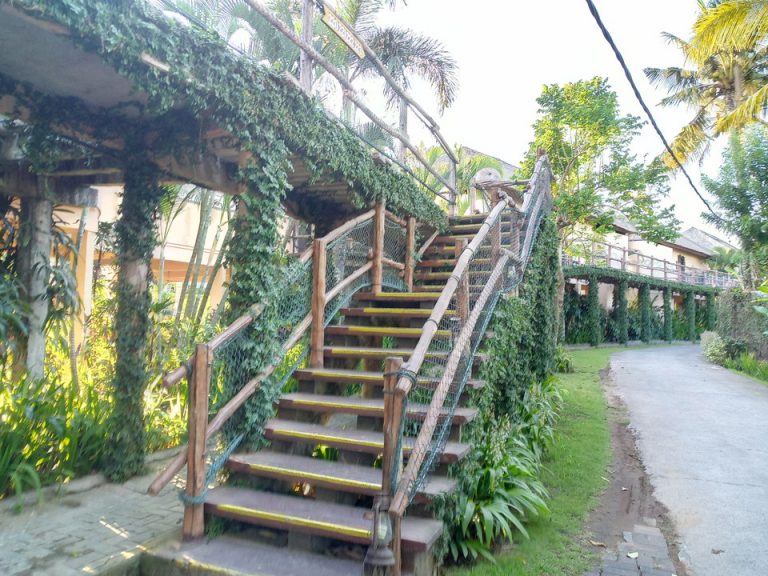 IMG_20200127_175030_1